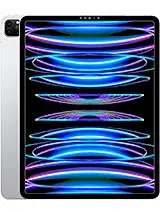  iPad Pro 12.9" 6th Gen (Wi-Fi Only)